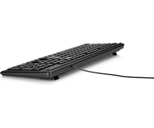HP Keyboard 100