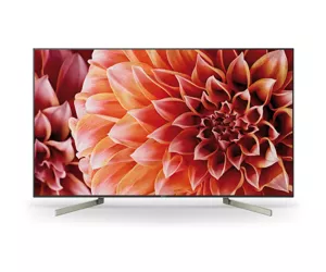 Sony KD-65XF9005
