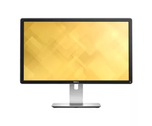 DELL Professional P2415Q