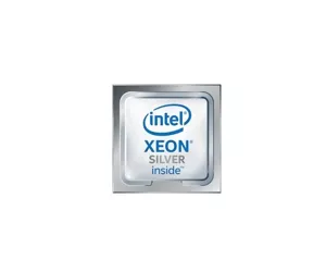 DELL Intel Xeon Silver 4116