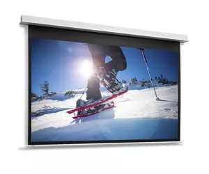 Projecta DescenderPro