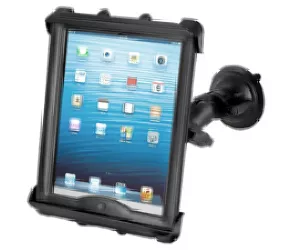 RAM Mounts RAM-B-166-TAB8