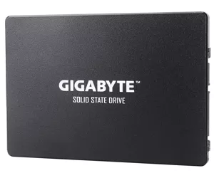 Gigabyte GP-GSTFS31240GNTD