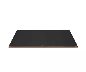 Gigabyte AMP900
