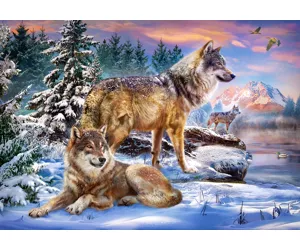 Castorland Wolfish Wonderland