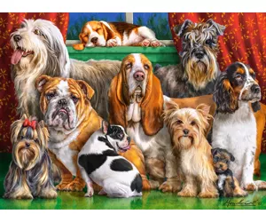 Castorland Dog Club