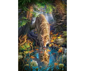 Castorland Wolf in the Wild