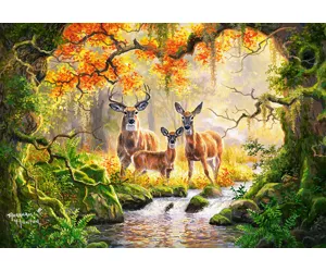 Castorland Royal Family