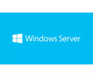 Microsoft Windows Server CAL 2019