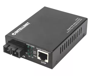 Intellinet 508209