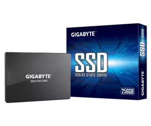 Gigabyte GP-GSTFS31256GTND