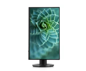 V7 L238DPH-2KH