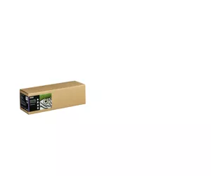 Epson C13S450277