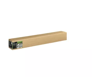 Epson C13S450272