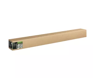 Epson C13S450273