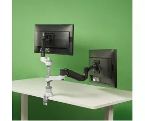 R-Go Tools Caparo 4 R-Go Caparo double monitor arm, with gas spring