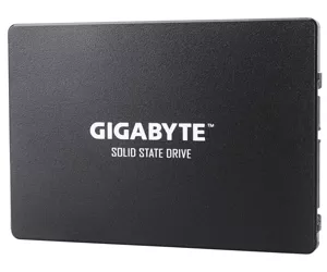 Gigabyte GP-GSTFS31480GNTD