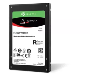 Seagate IronWolf 110