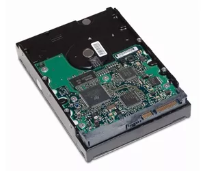 HP 391945-001 3.5" 80 GB