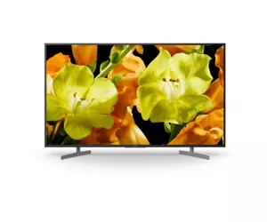 Sony KD43XG8196BAEP