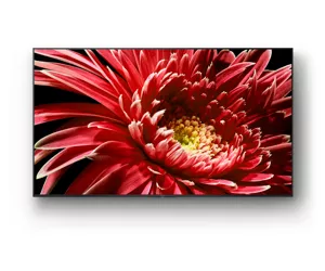 Sony KD55XG8596BAEP