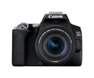 Canon EOS 250D + EF-S 18-55mm f/4-5.6 IS STM