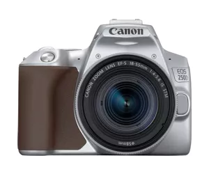 Canon EOS 250D + EF-S 18-55mm f/4-5.6 IS STM