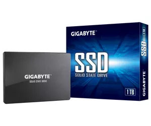 Gigabyte GP-GSTFS31100TNTD