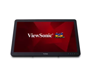 Viewsonic VSD243