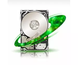 Seagate Constellation ST9250610NS