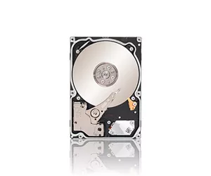 Seagate Constellation .2