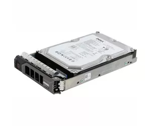 DELL 2TB NL-SAS