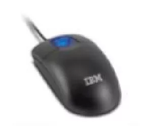 Lenovo 31P7405 компьютерная мышь USB Type-A + PS/2 Оптический 800 DPI