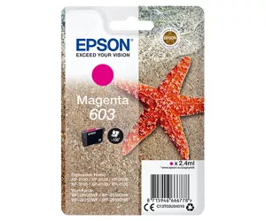 Epson Singlepack Magenta 603 Ink