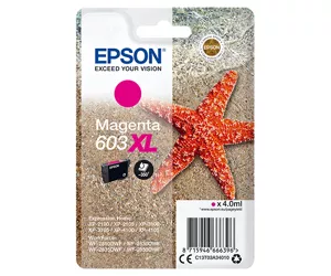 Epson C13T03A34020