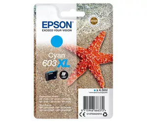Epson C13T03A24020