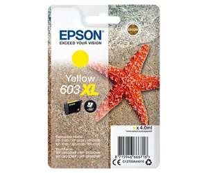Epson C13T03A44010