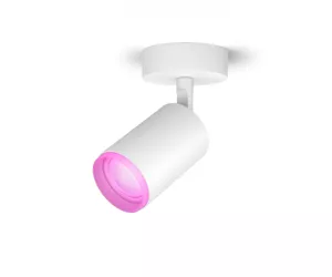 Philips Hue White and colour ambience Üksik kohtvalgusti Fugato