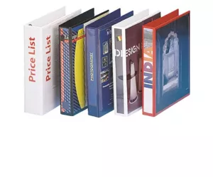 Leitz Esselte Panorama Ring Binders 4 x 20 mm Blue ring binder A4
