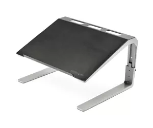 StarTech.com LTSTND
