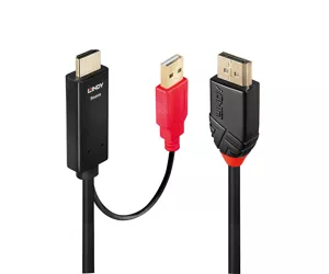 Lindy 0.5m HDMI to DisplayPort Adapter Cable