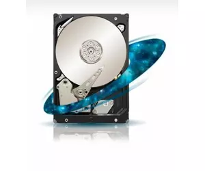 Seagate Constellation ST1000NM0001