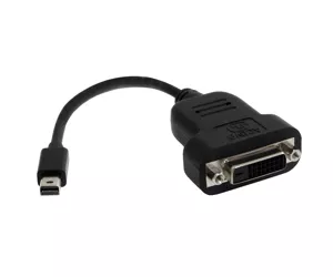 StarTech Mini DisplayPort to DVI Adapter - Active Converter