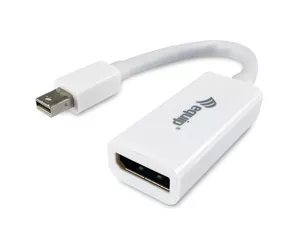Equip Mini DisplayPort to DisplayPort adapter