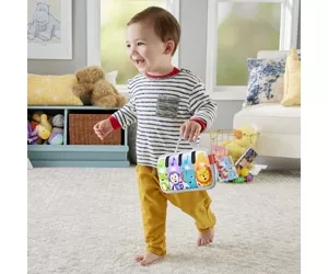 Fisher-Price GJD27