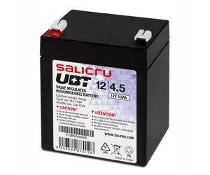 Salicru 013BS000006