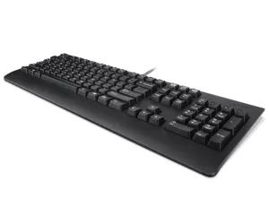 Lenovo Preferred Pro II