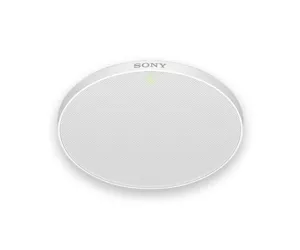 Sony MAS-A100
