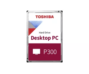 Toshiba P300