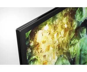 Sony 55XH81